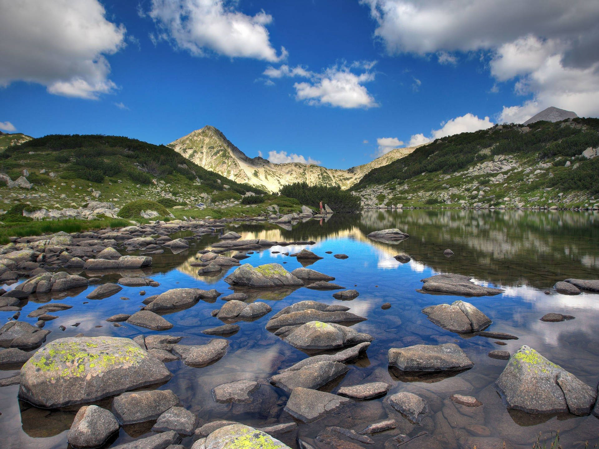 Bulgaria Pirin National Park Background
