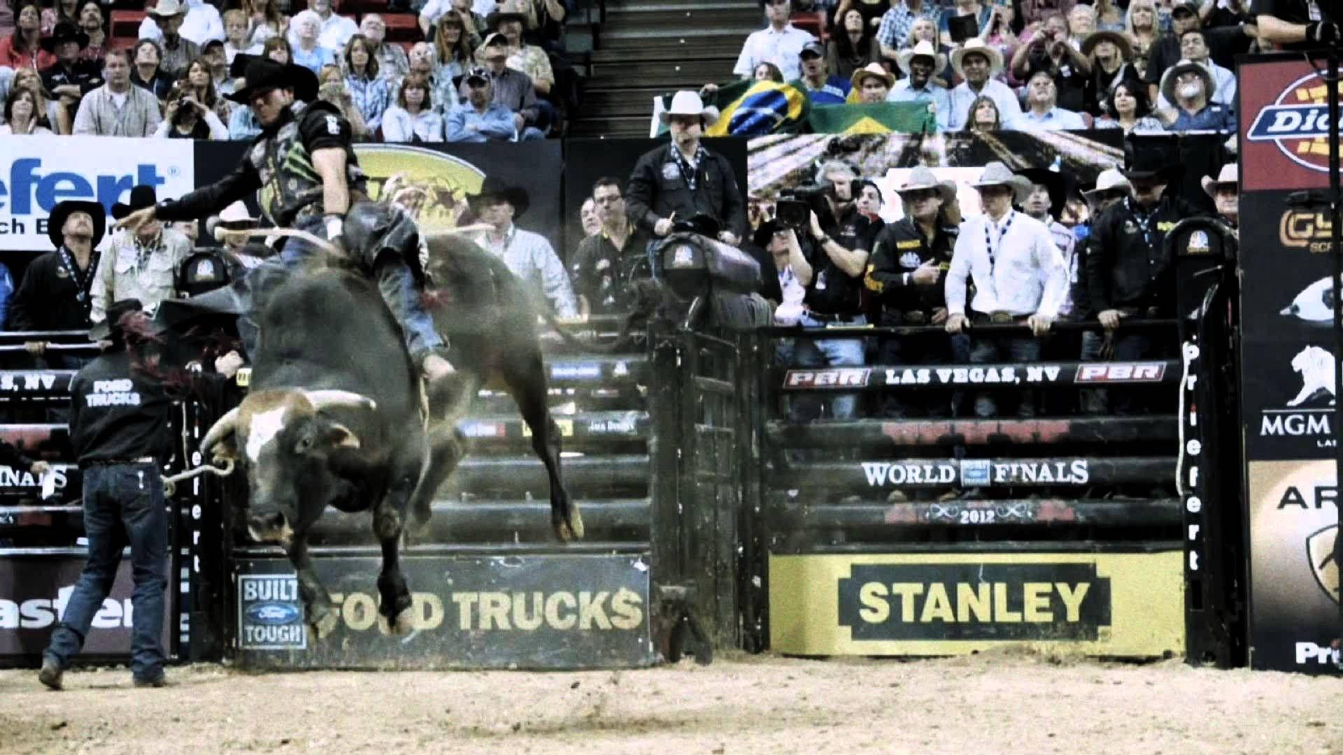 Bull Riding: A Thrilling Activity That Isn't For The Faint Of Heart Background