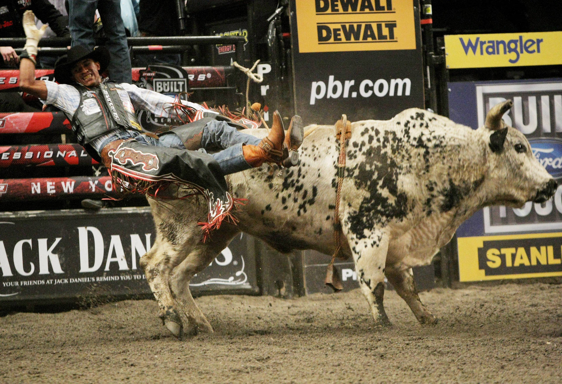 Bull Riding Fall