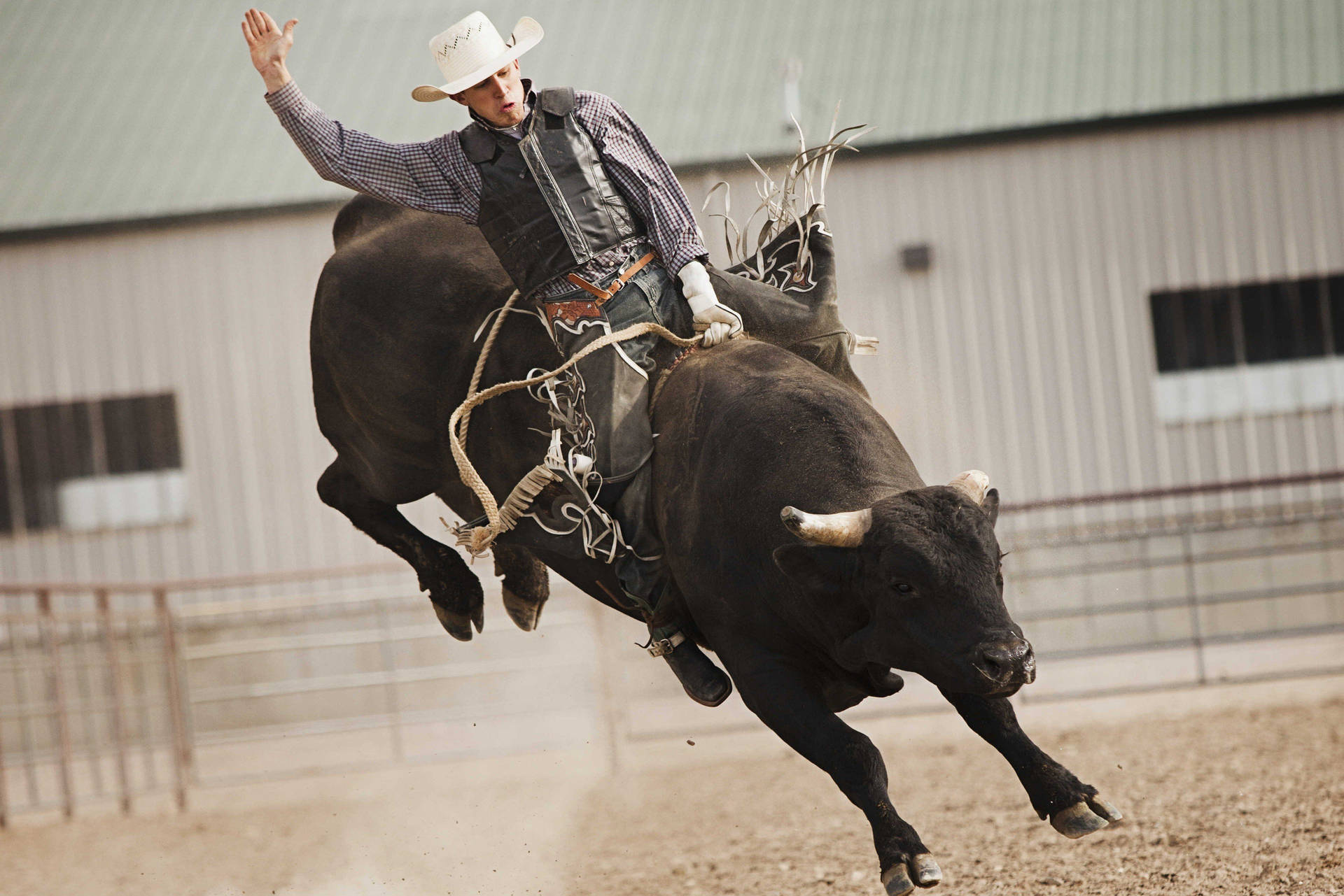 Bull Riding Rodeo Style Event Background