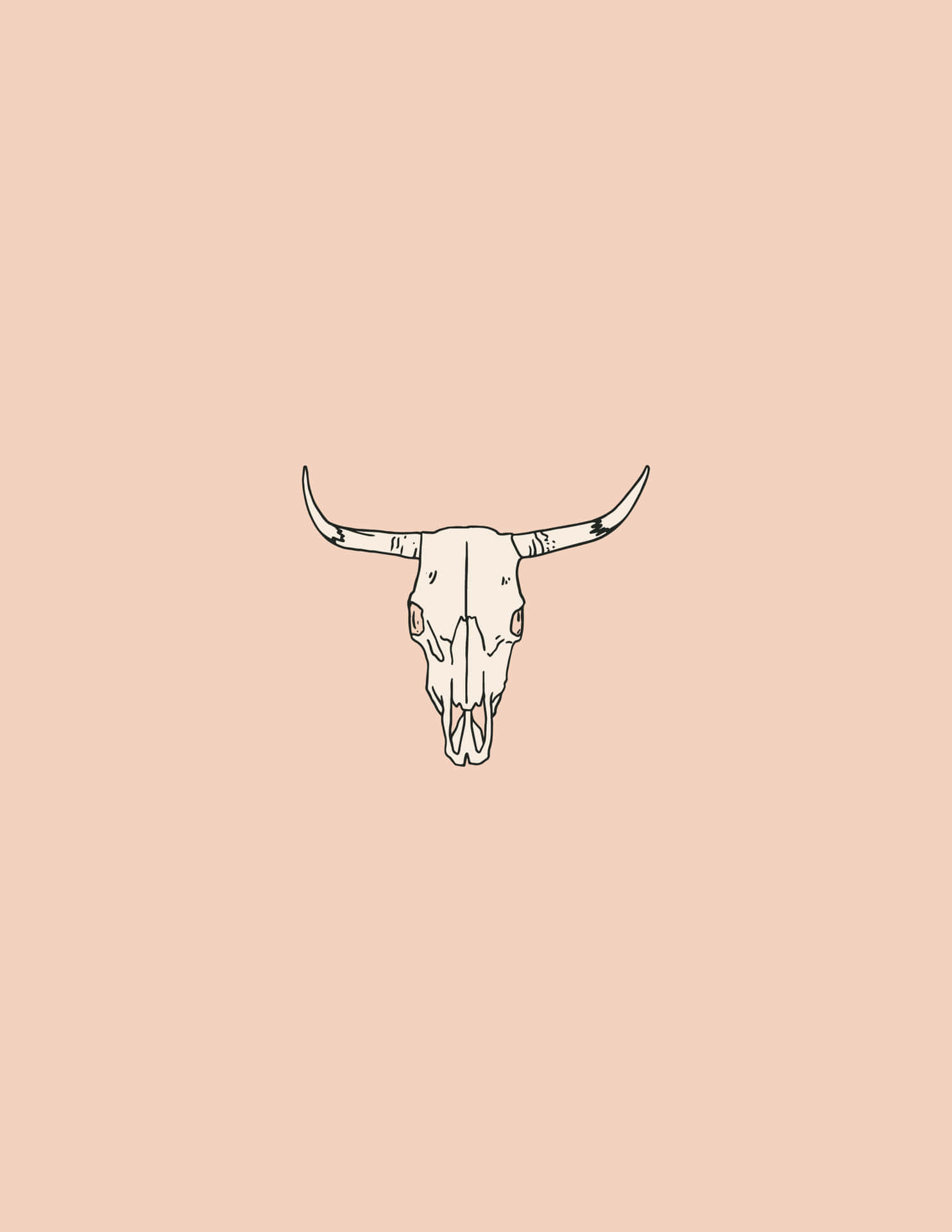 Bull Skull Line Drawing Background