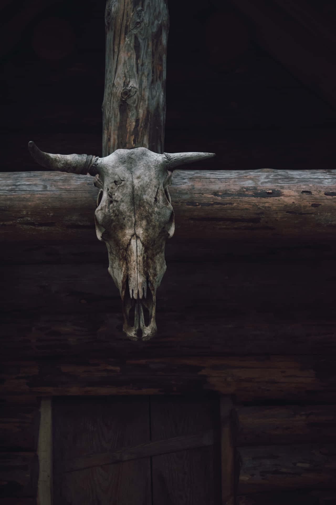 Bull Skull On A Cabin Background