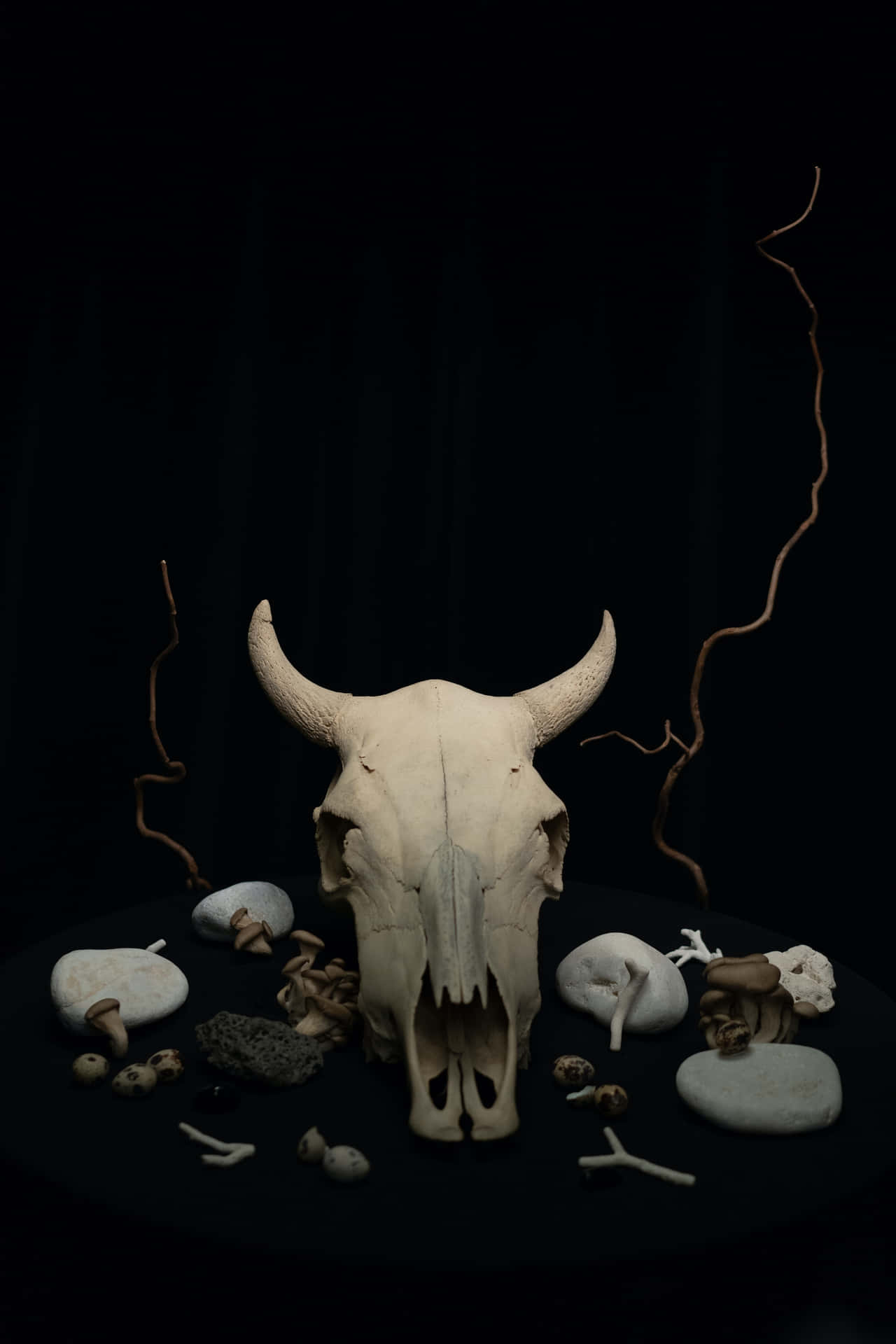 Bull Skull With Bones And Stones Background