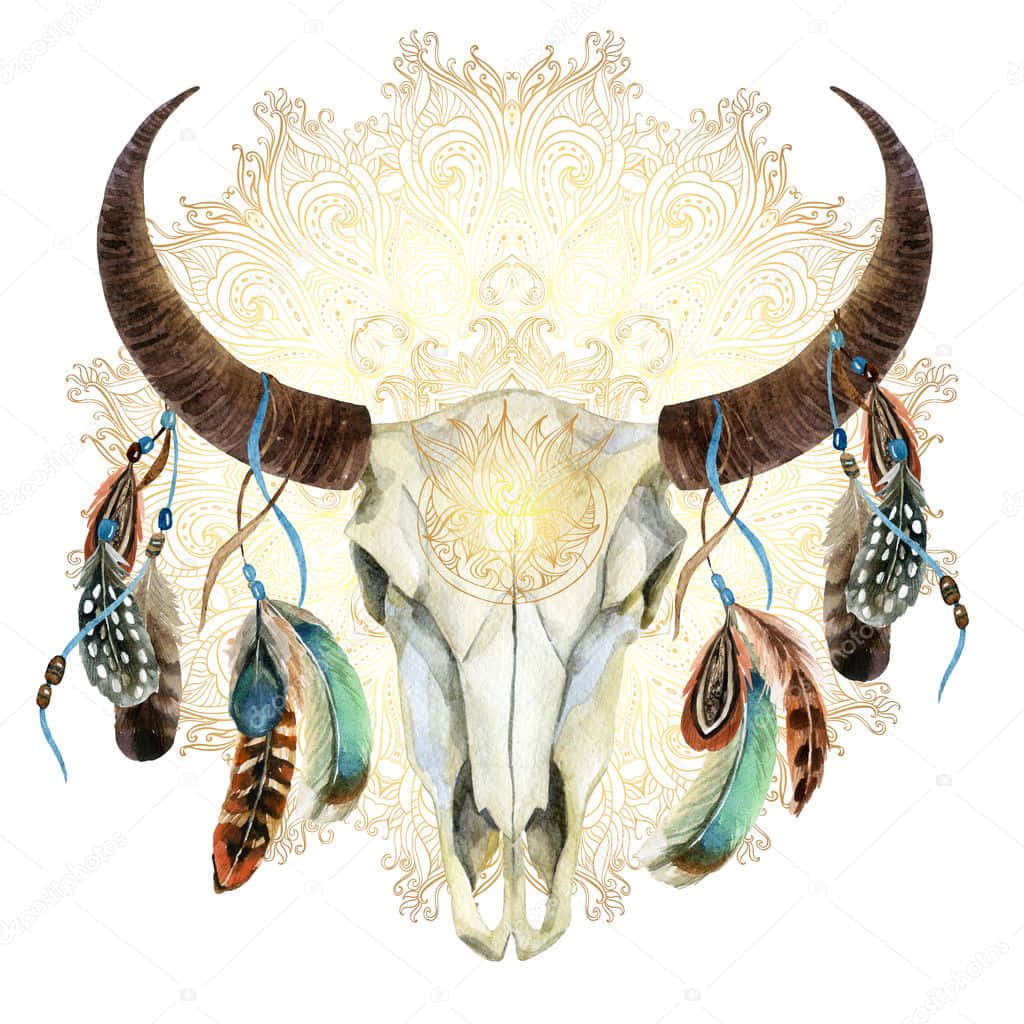 Bull Skull With Feathers Background