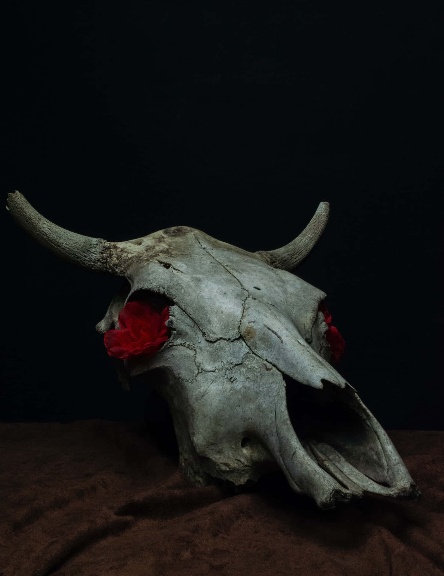 Bull Skull With Red Roses Background