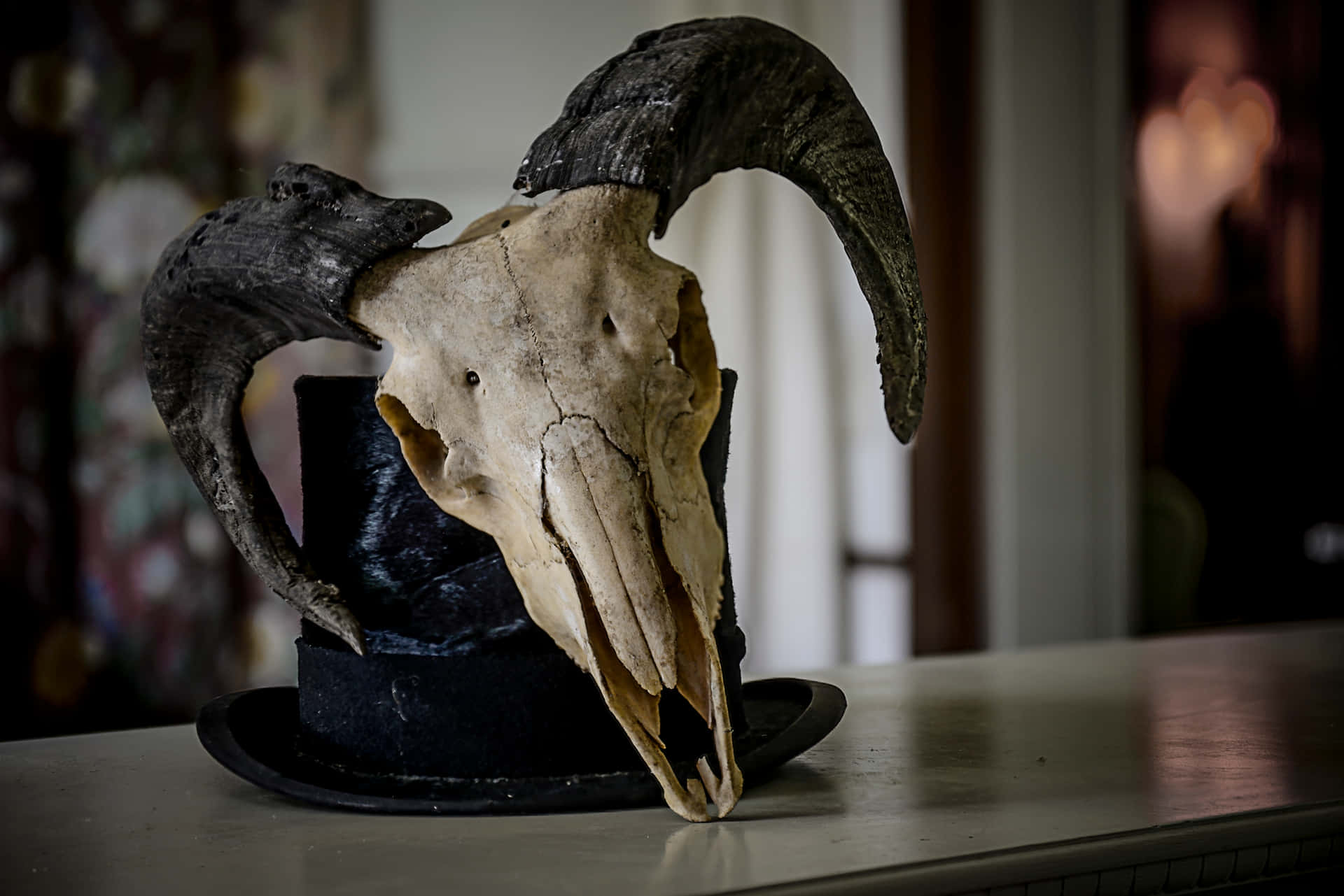 Bull Skull With Top Hat Background