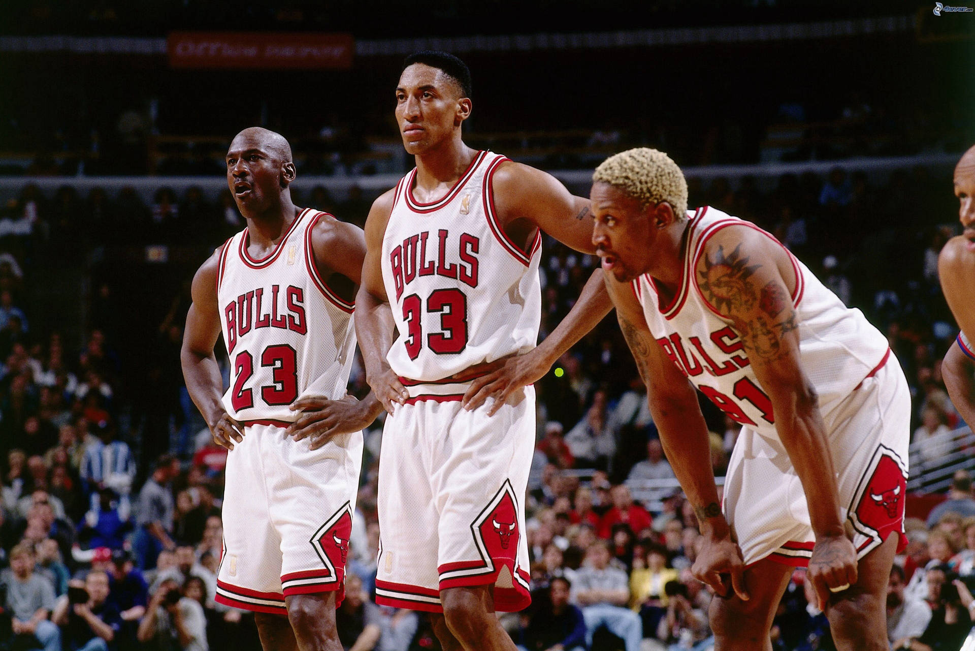 Bulls Player And Michael Jordan Hd Background