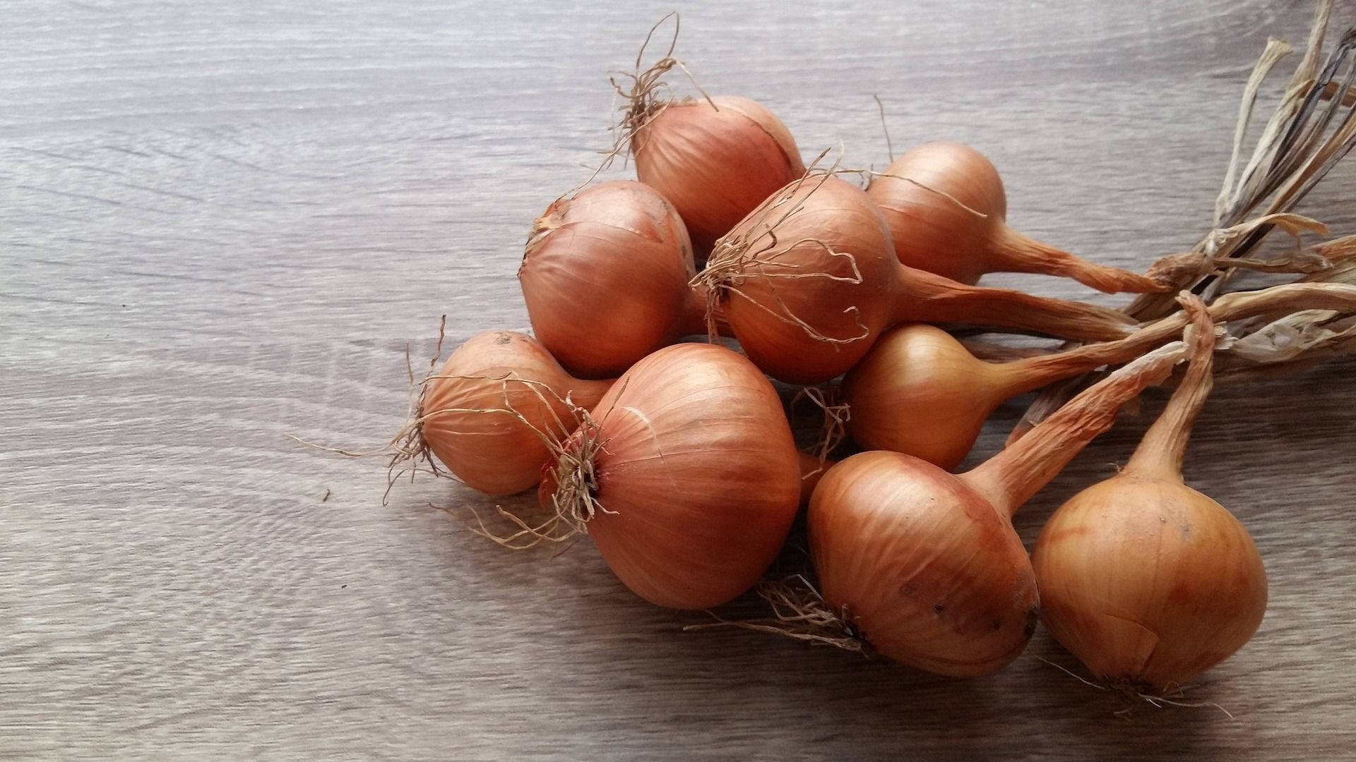 Bunch Of Onions With Roots