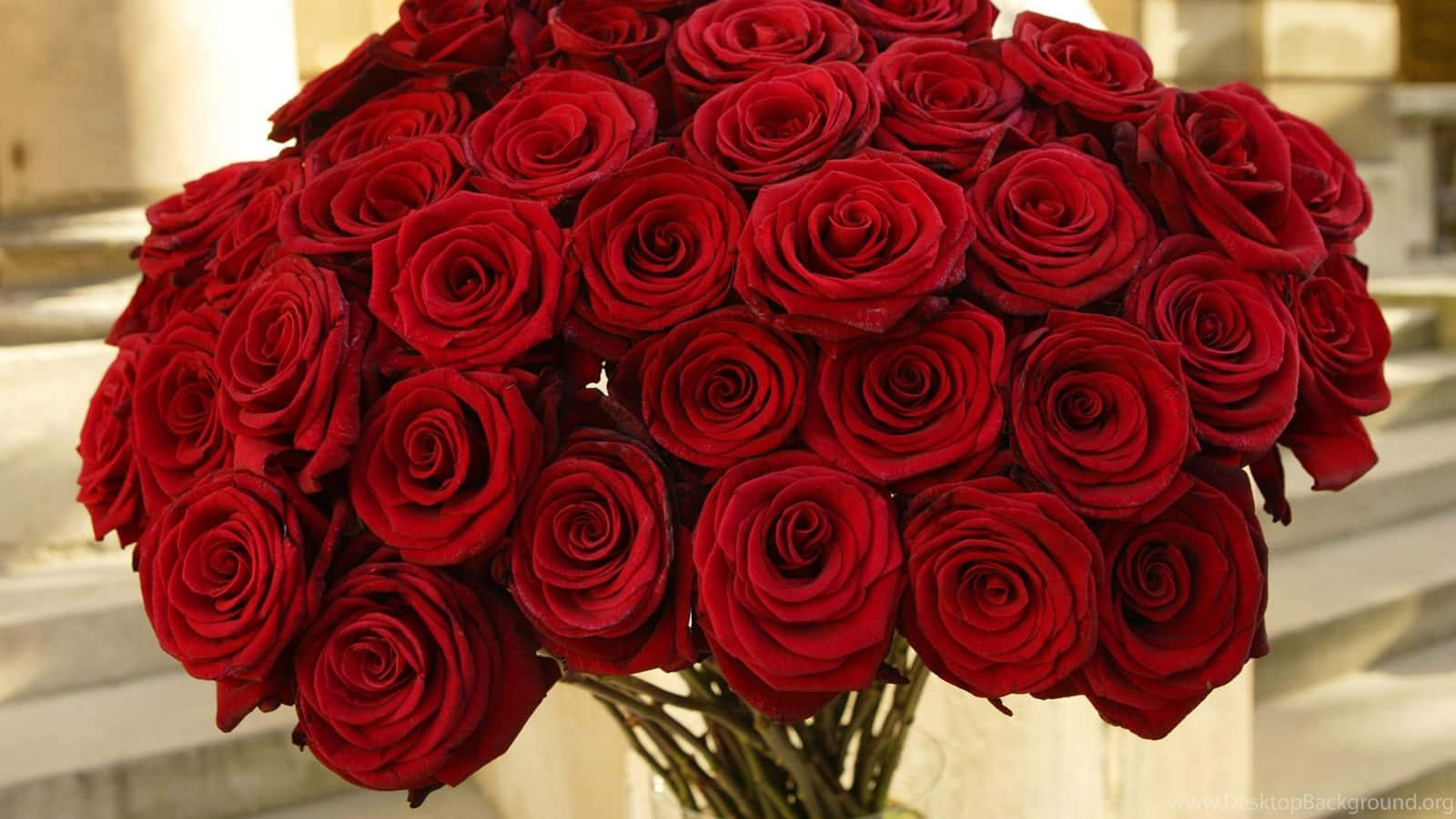 Bunch Of Red Roses Laptop Background