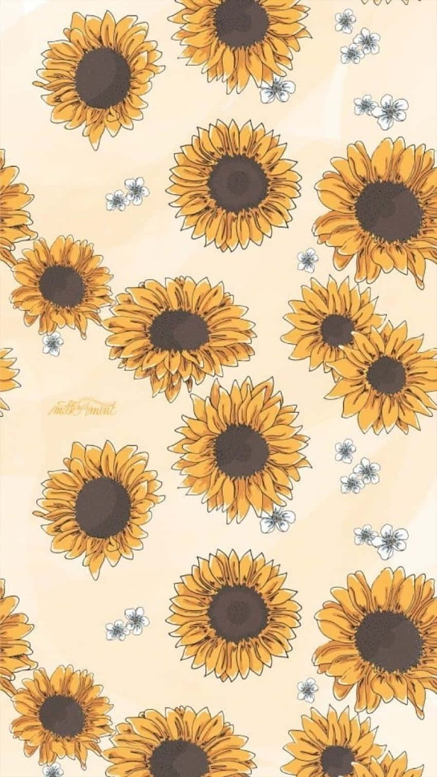 Bunch Of Sunflower Yellow Tumblr Aesthetic Background