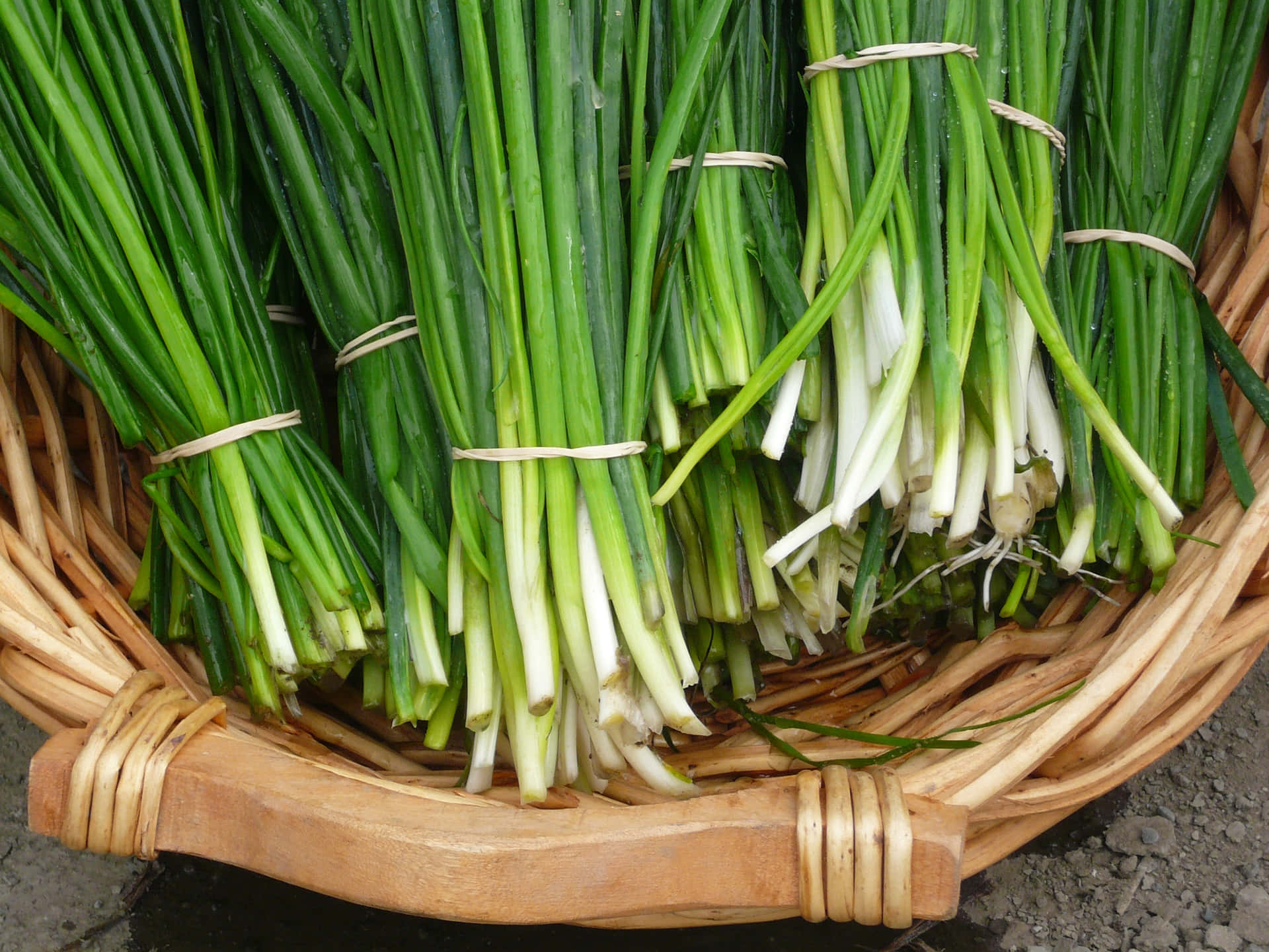 Bunches Of Green Chives On Rattan Basket Background