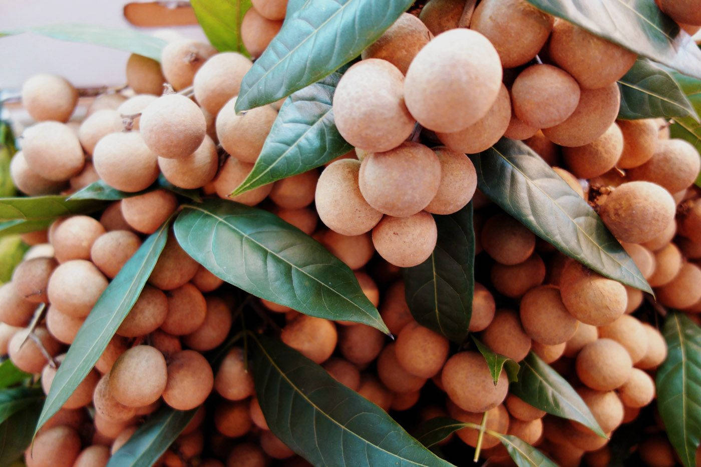 Bunches Of Longan Fruits