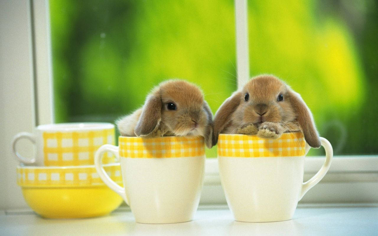 Bunnies In Yellow Tea Cups Background
