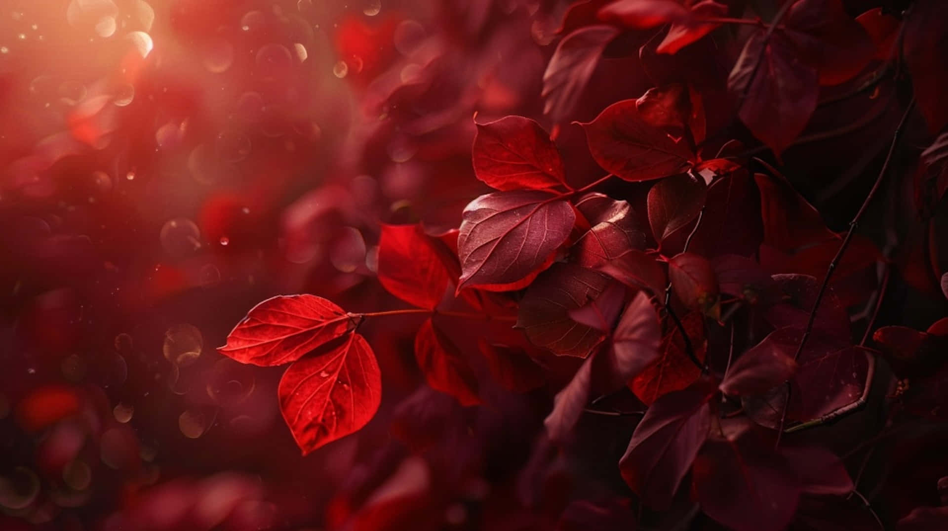 Burgundy Leaves Sunlight Bokeh Background