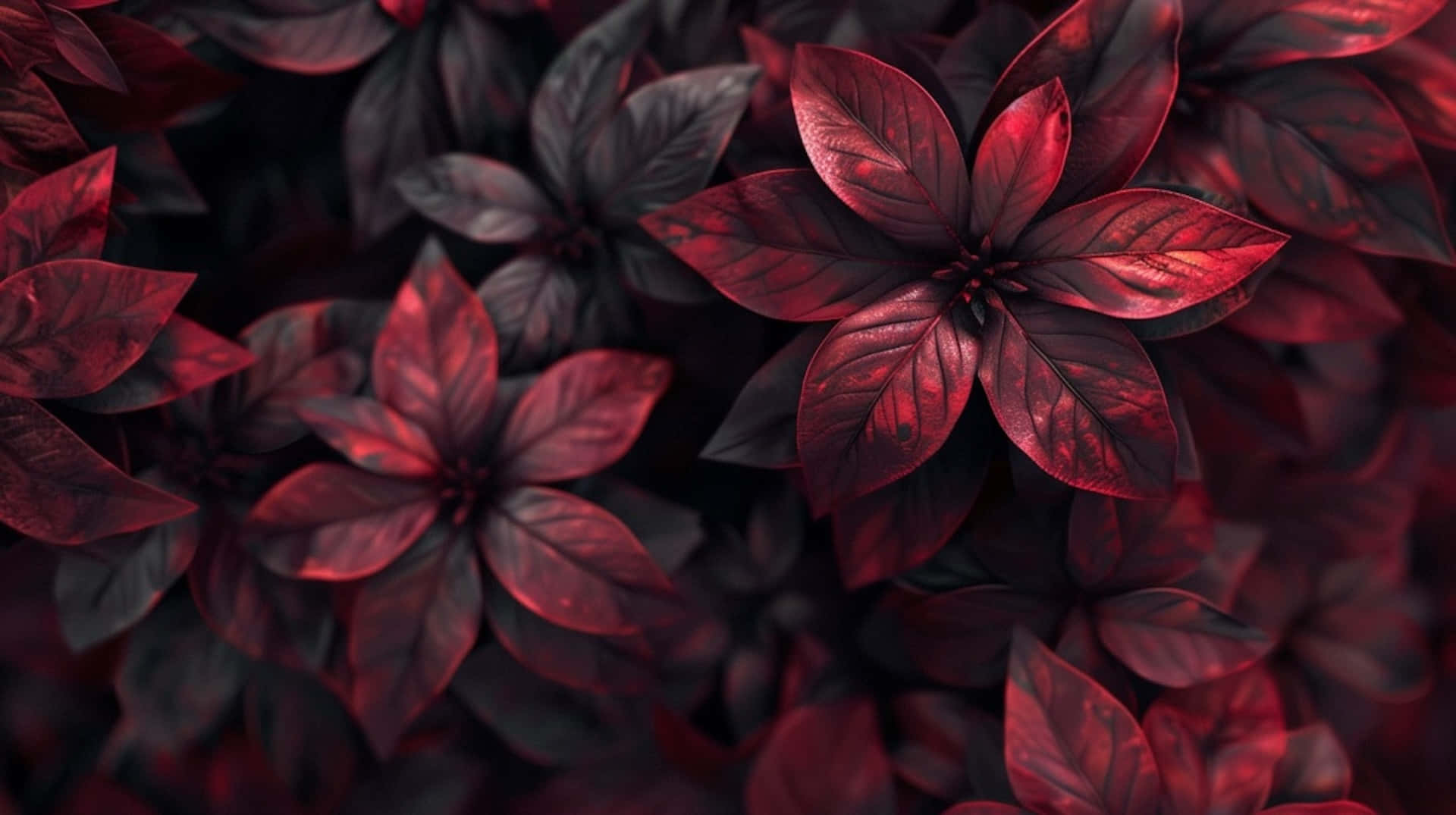 Burgundy Leaves Texture Background
