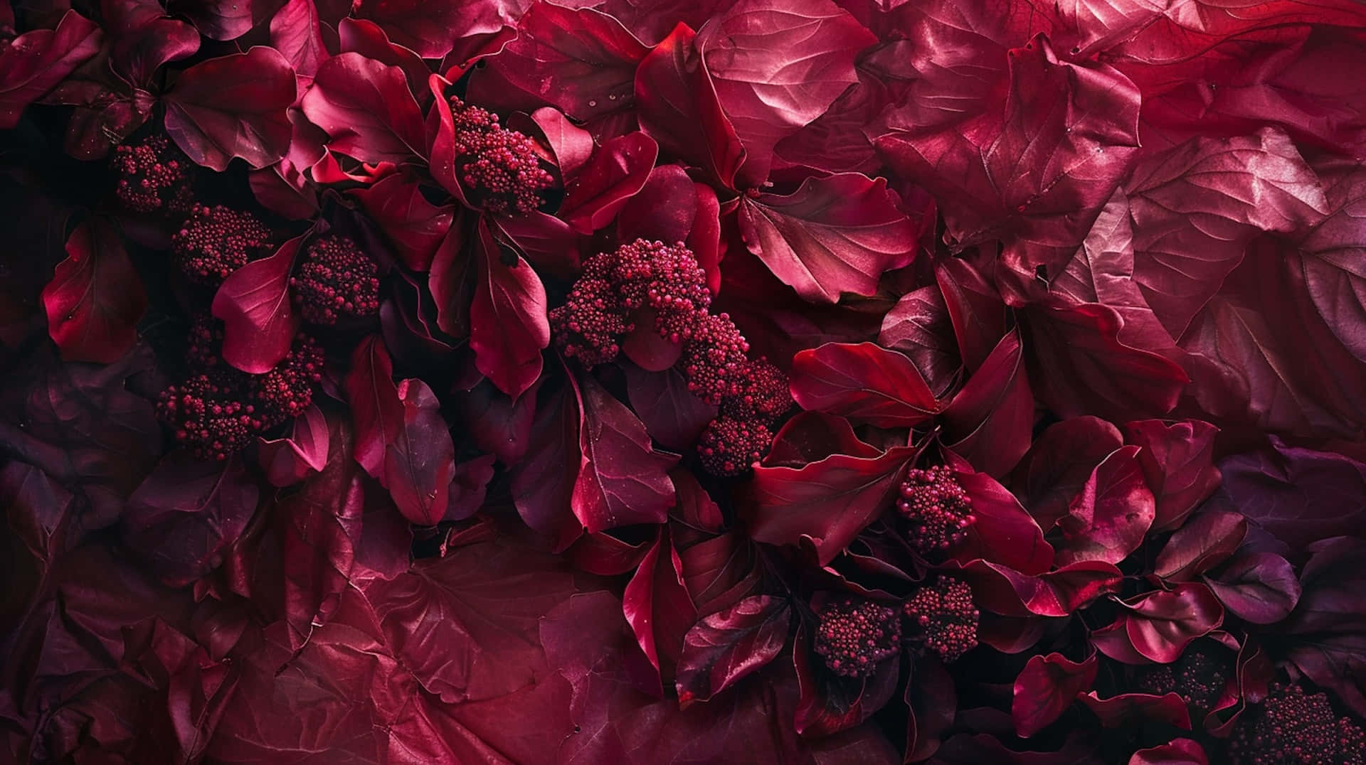 Burgundy Leavesand Berries Texture Background