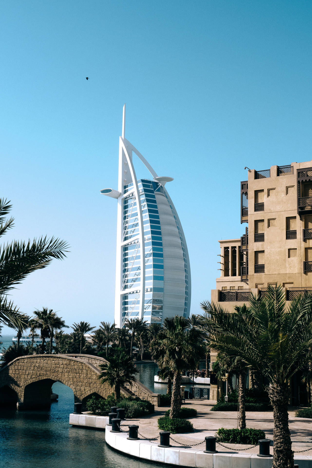 Burj Al Arab And Pine Trees