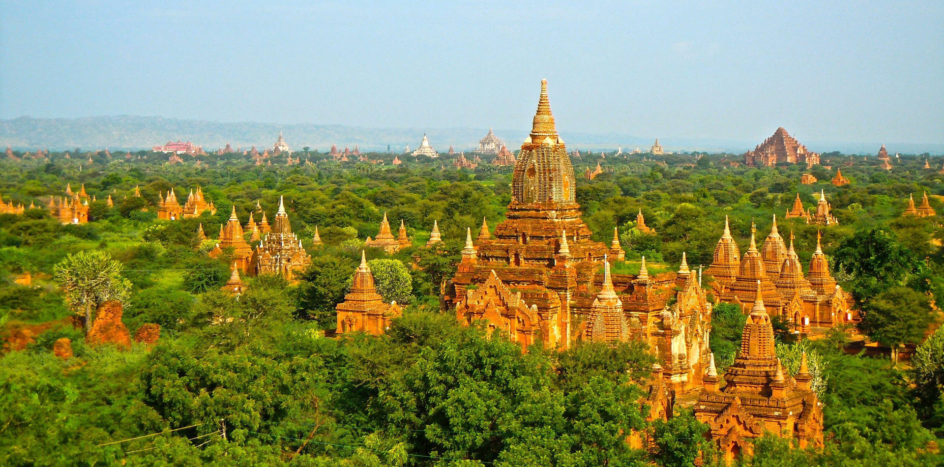 Burma Forest During Daytime Background