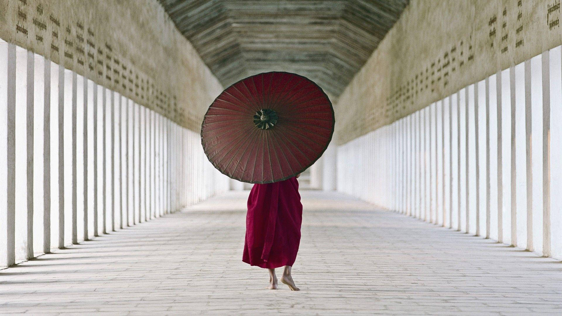 Burma Monk Carrying An Umbrella Background