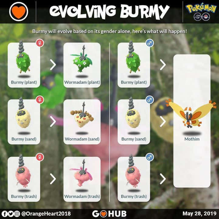 Burmy Stages Of Evolution Background