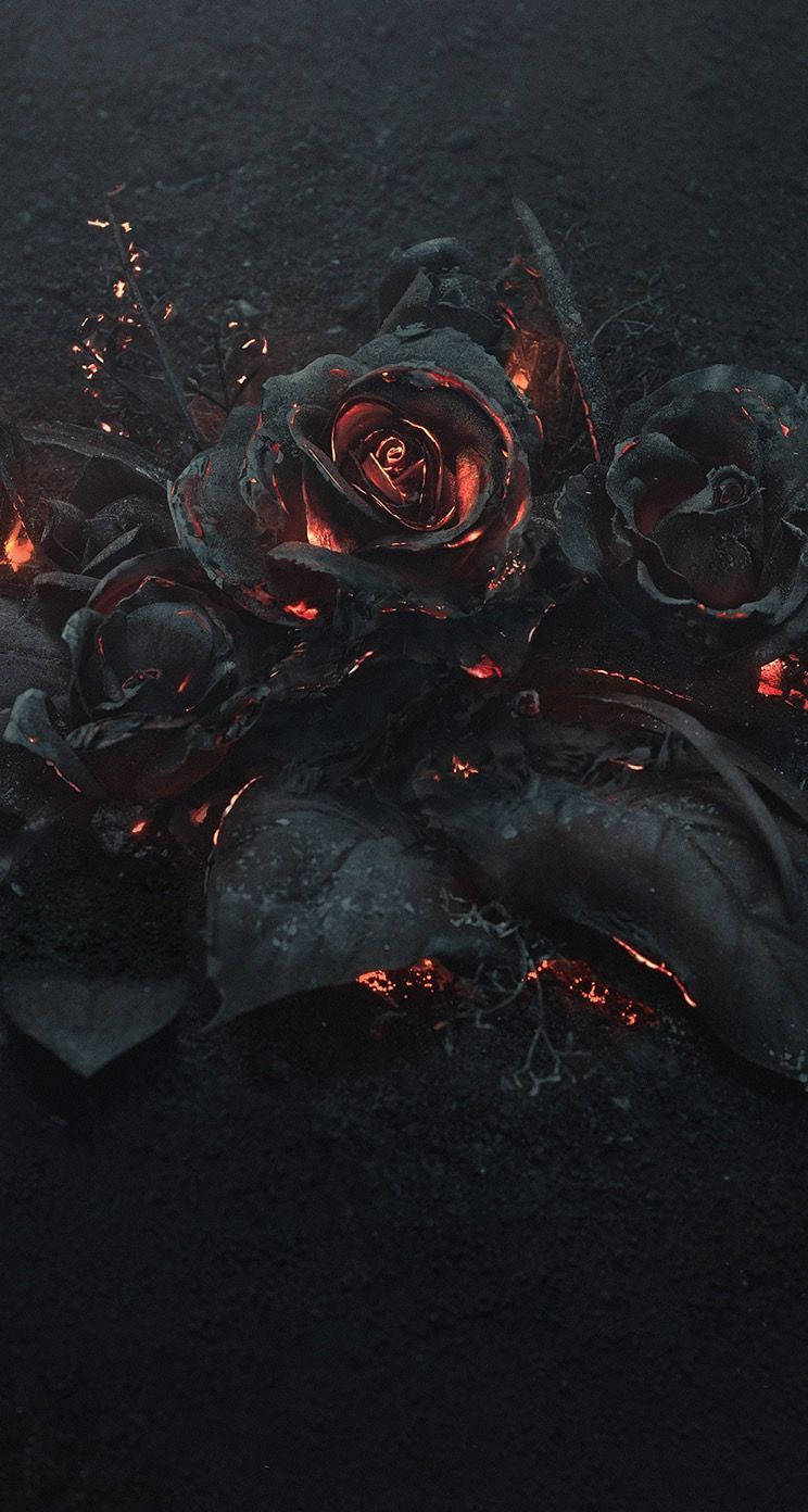 Burning Black Rose Aesthetic Background