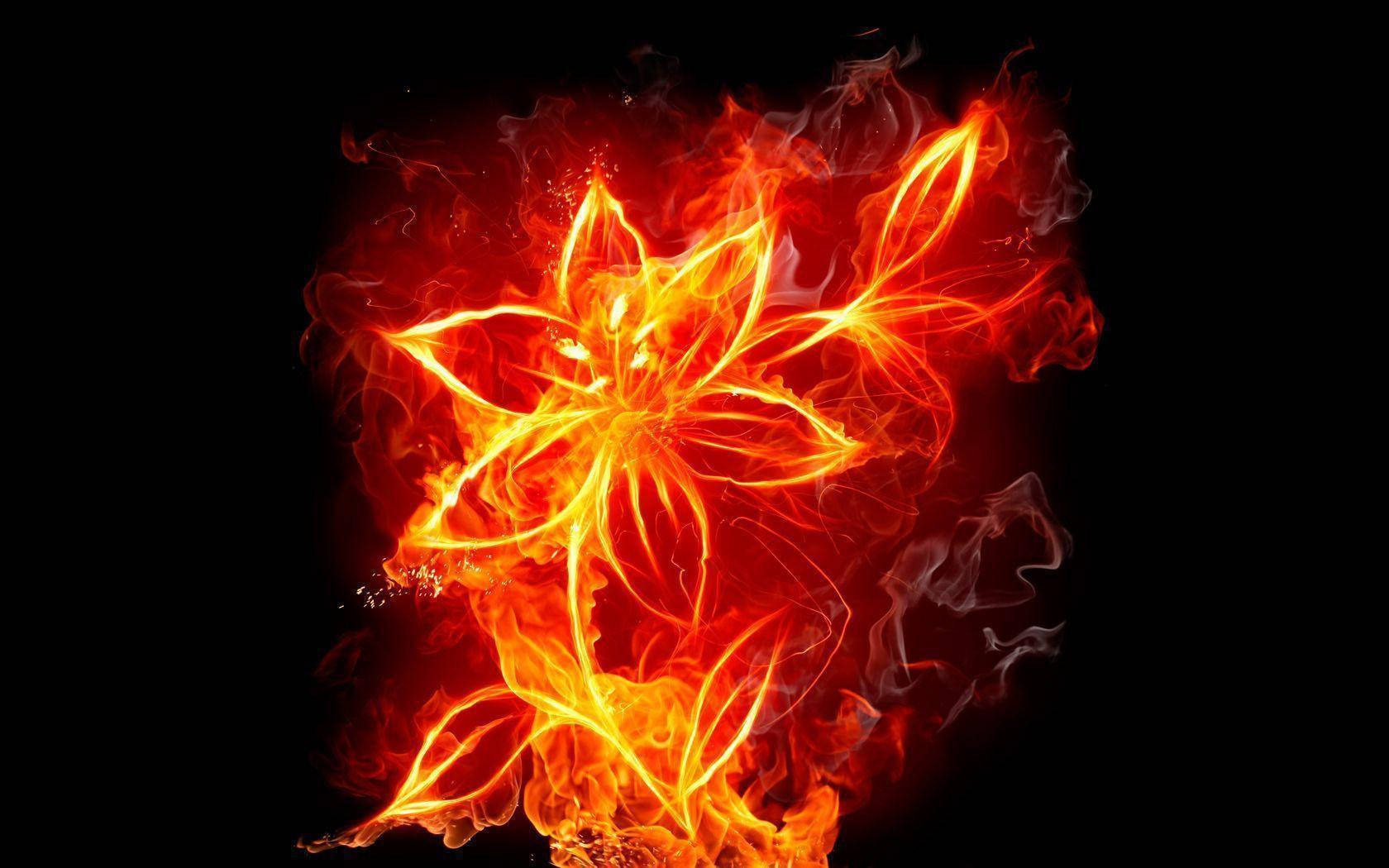 Burning Flower Fire Background