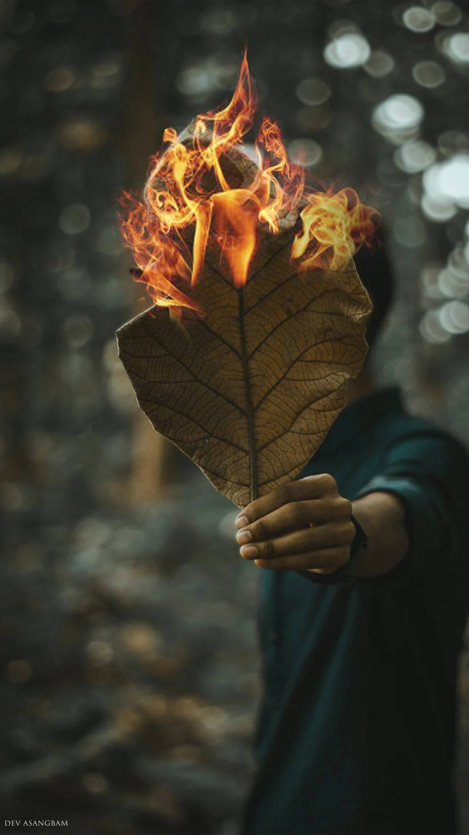 Burning Leaf Hd Photography Background