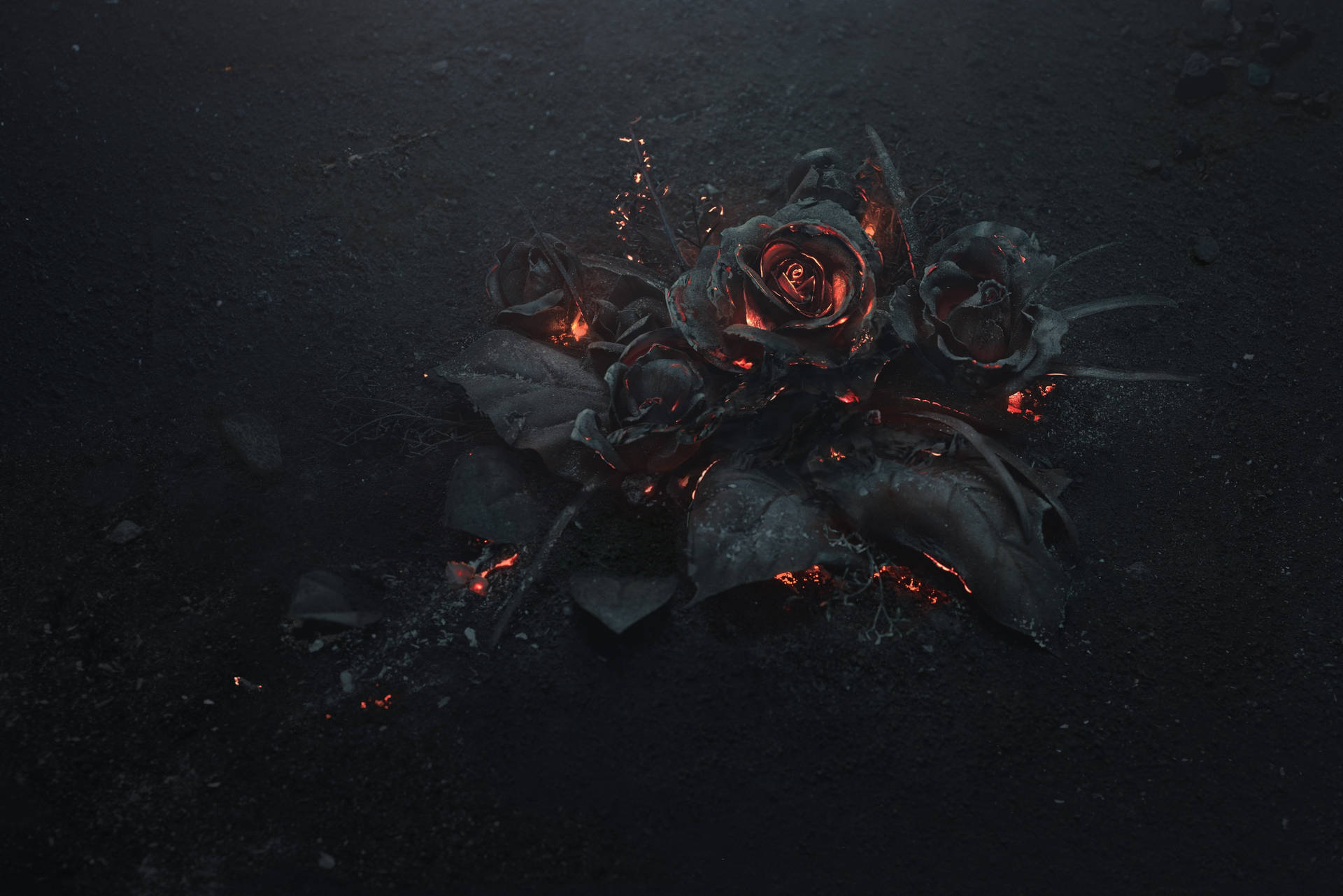 Burnt Roses Dark Theme Background