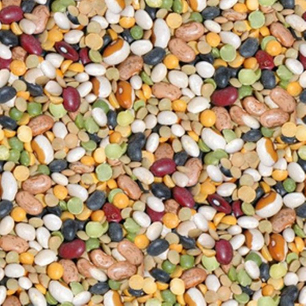 Burst Of Colors With Healthy Lentils