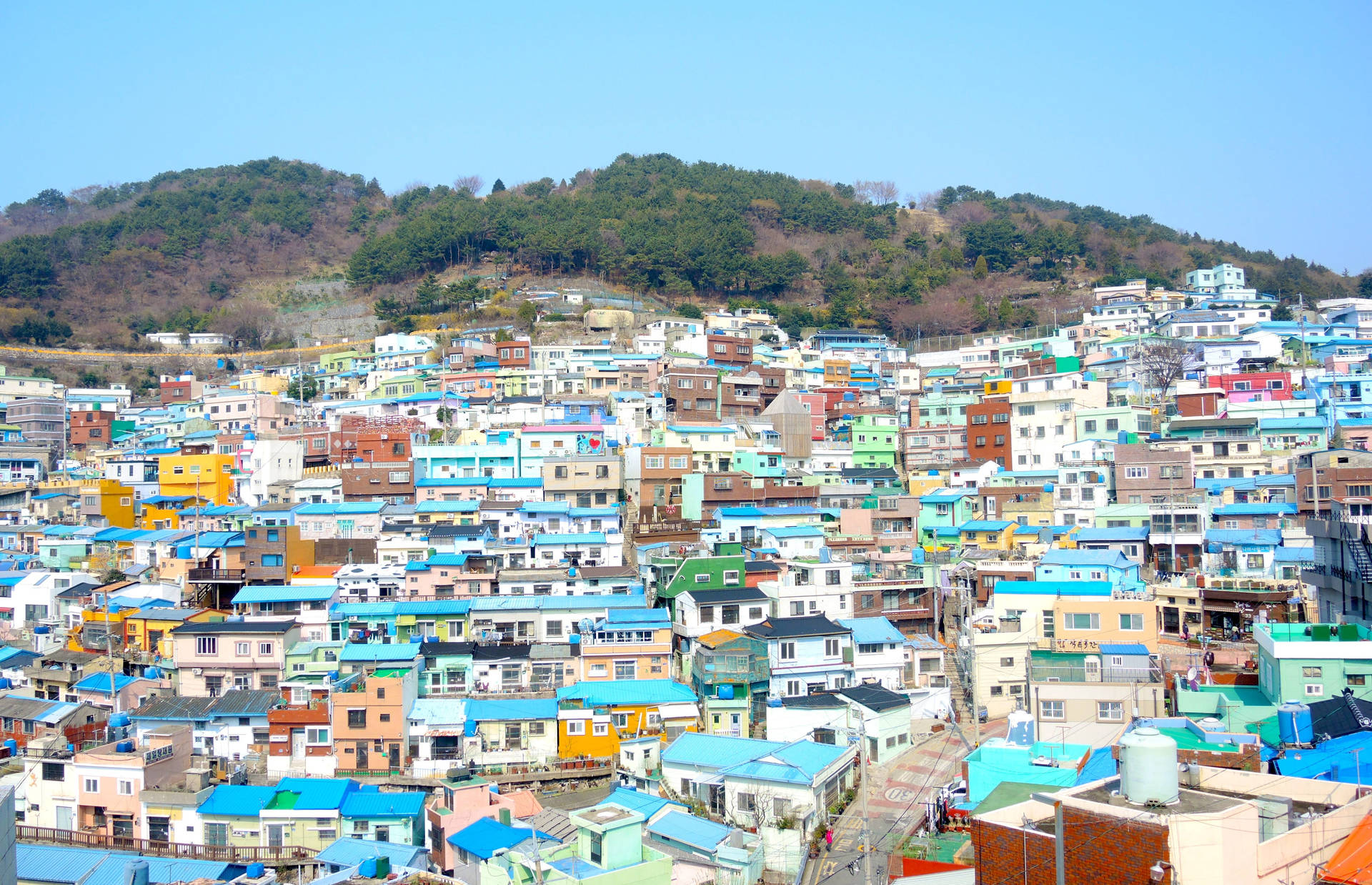 Busan Residential Area Background
