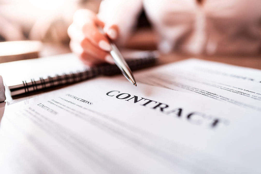 Business Professional Studying Contract Documents