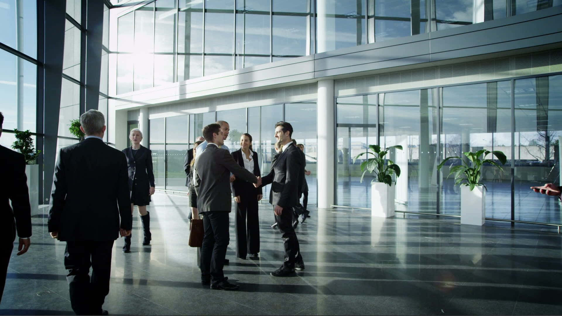 Business Professionals Meetingin Modern Office Lobby.jpg Background
