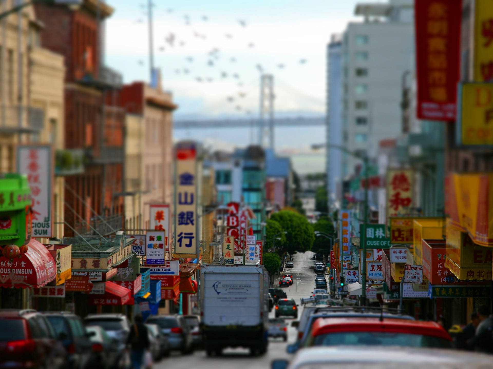 Busy Chinatown San Francisco Photography Background