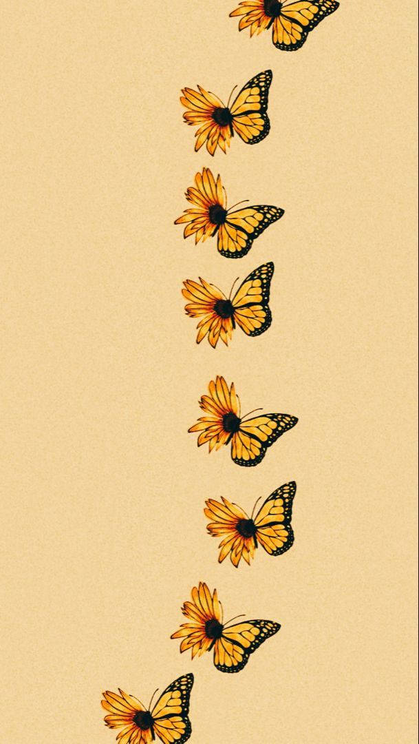 Butterflies And Sunflowers Background
