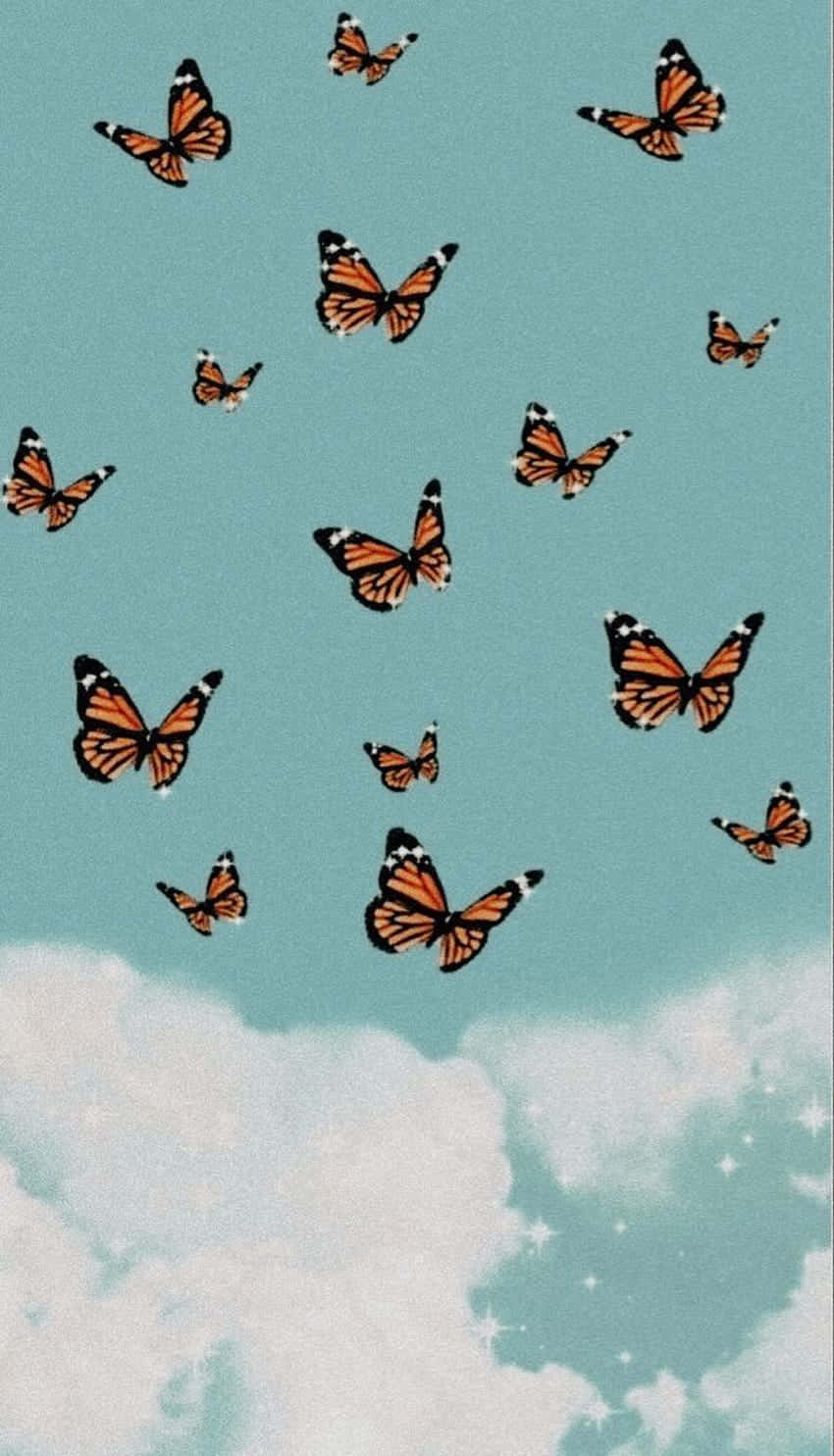 Butterflies Default Pfp Aesthetic Background