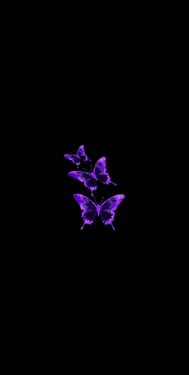 Butterflies On Black And Purple Phone Background