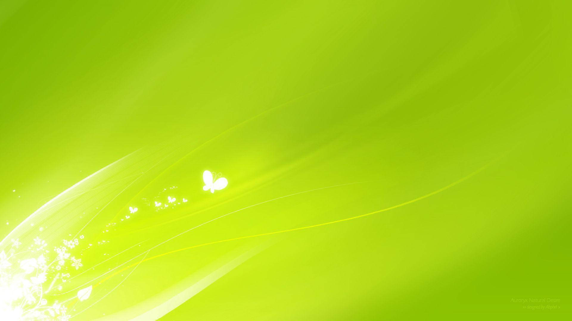 Butterflies On Super Light Green Background