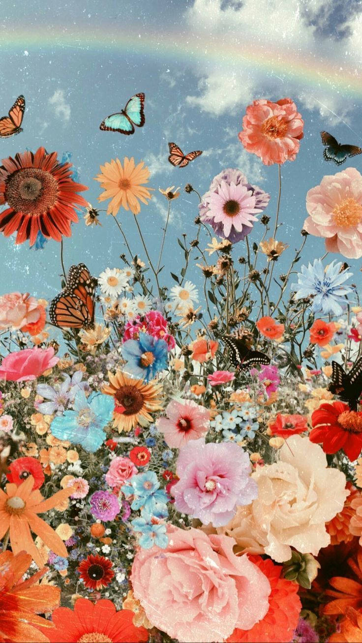 Butterflies Rainbow Flowers Aesthetic Background