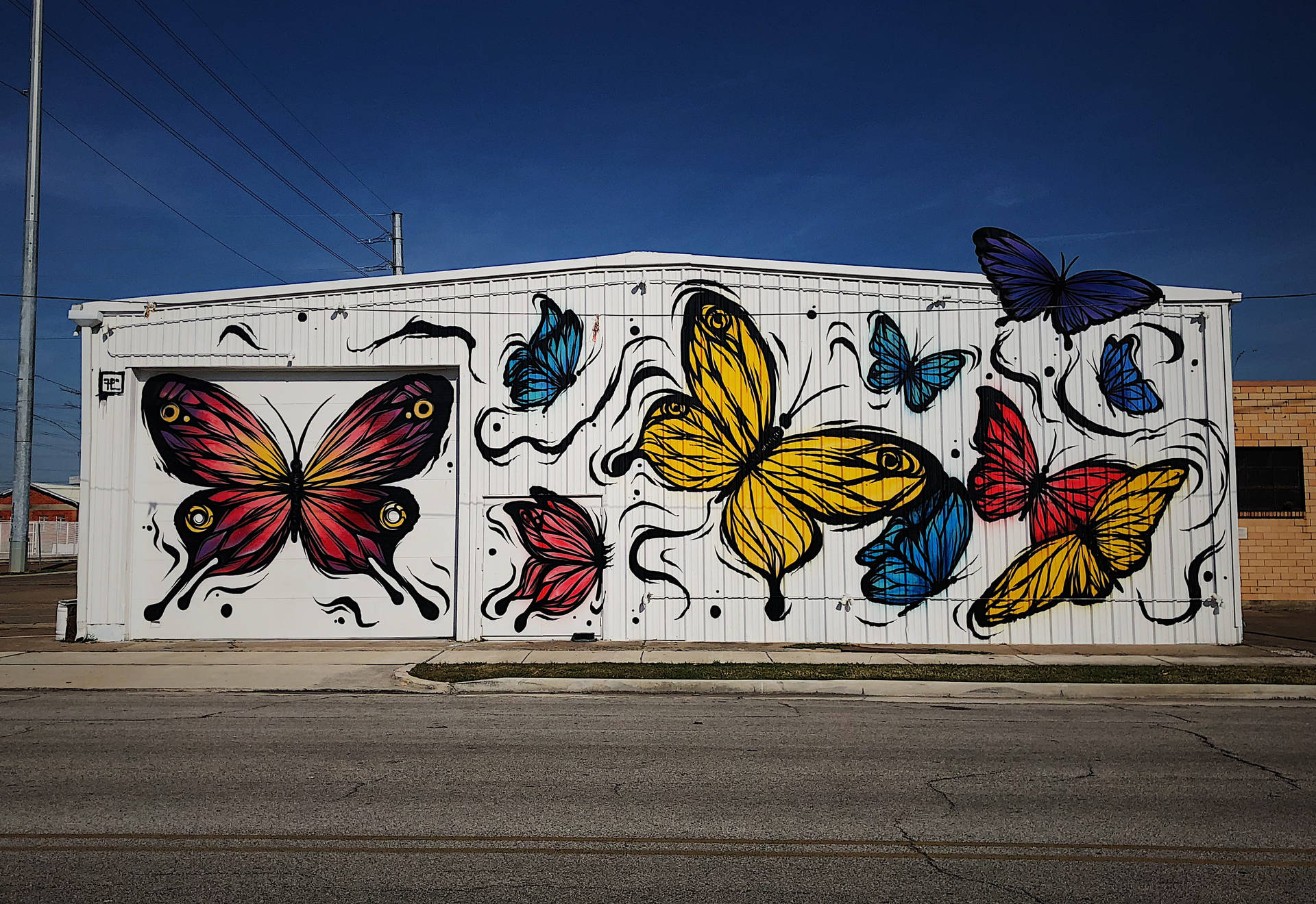 Butterflies Wall Art Background