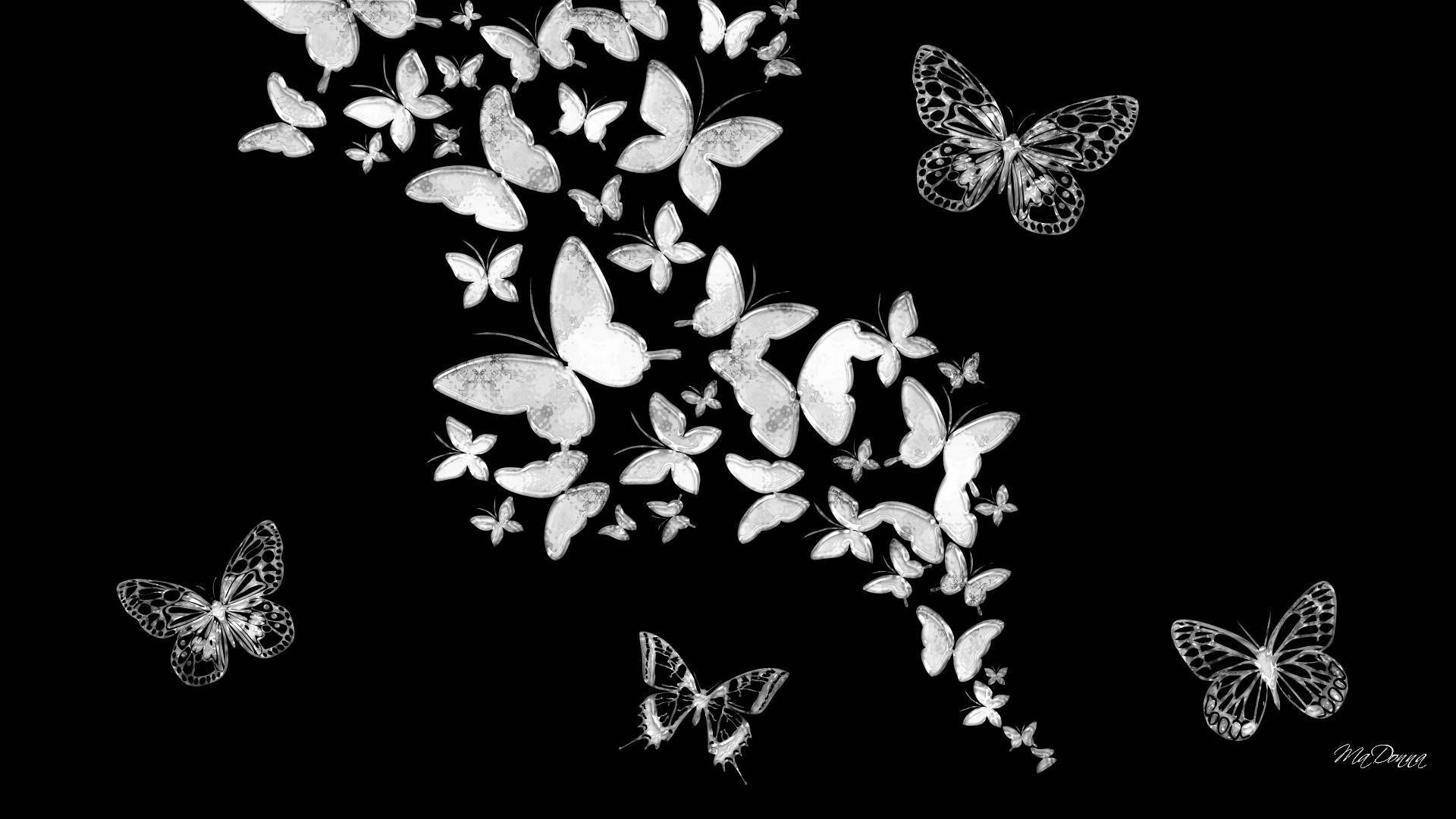 Butterfly Aesthetic Black Art Background