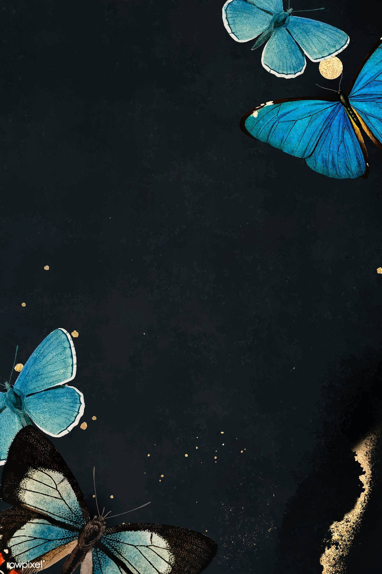 Butterfly Aesthetic Blue Wings Background