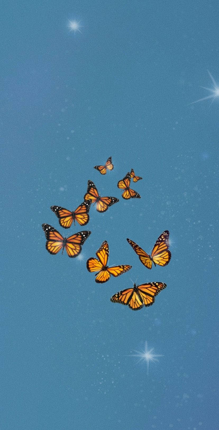 Butterfly Aesthetic Group Of Monarch Background