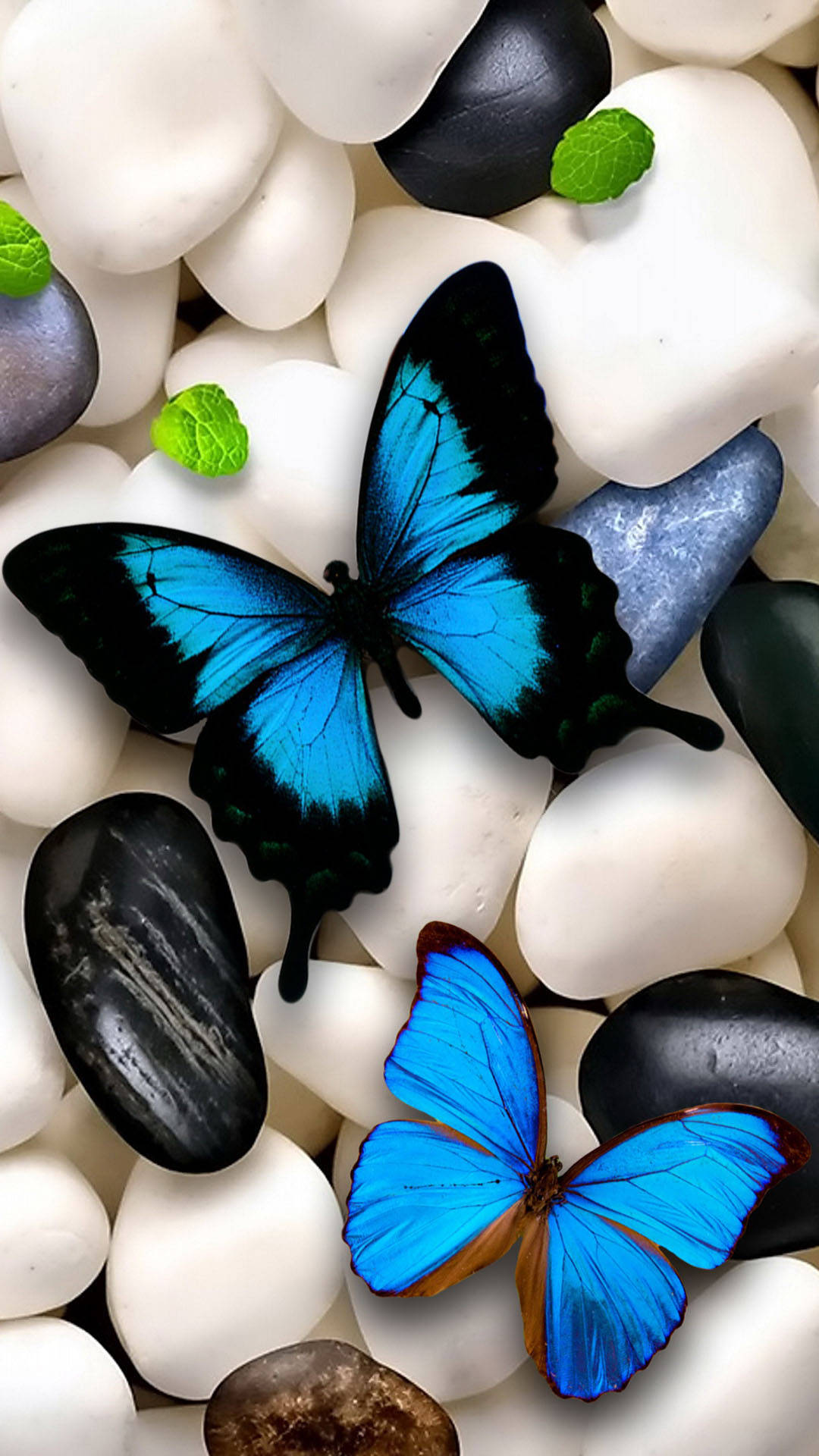 Butterfly Aesthetic On White Stones Background