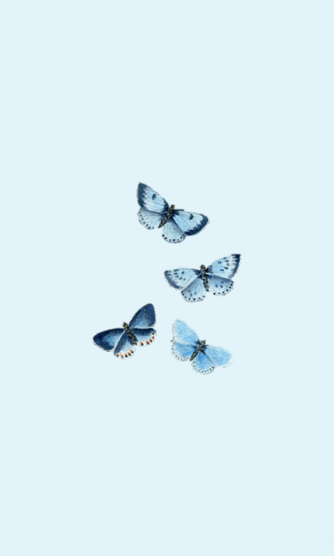 Butterfly Aesthetic Powder Blue Wings Background