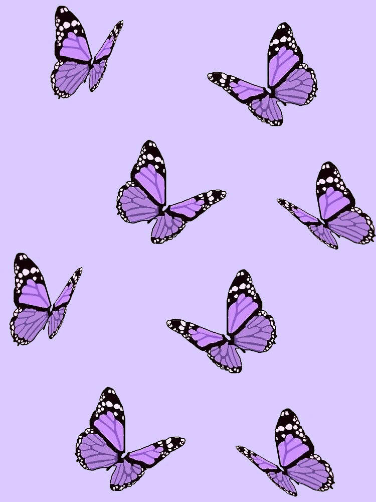 Butterfly Aesthetic Purple Iphone Background