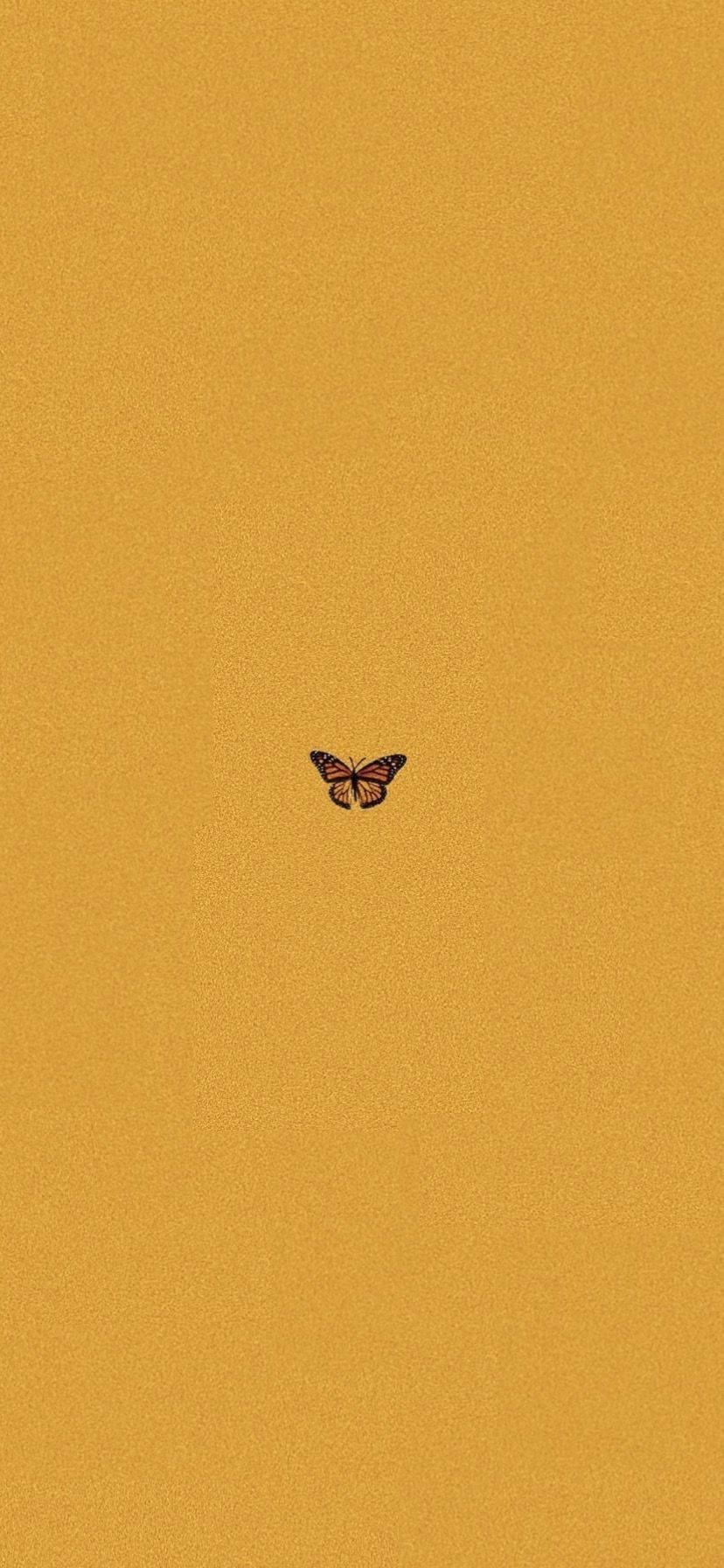 Butterfly Aesthetic Yellow Mustard Background