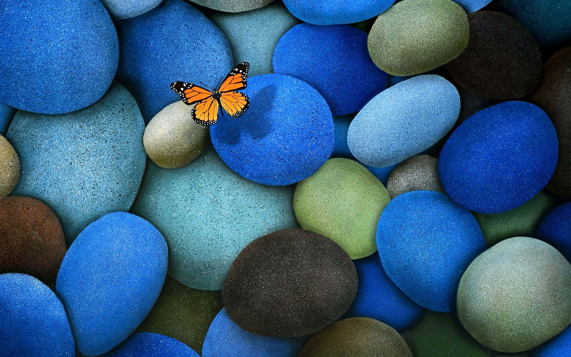 Butterfly On Blue Pebbles Desktop Background