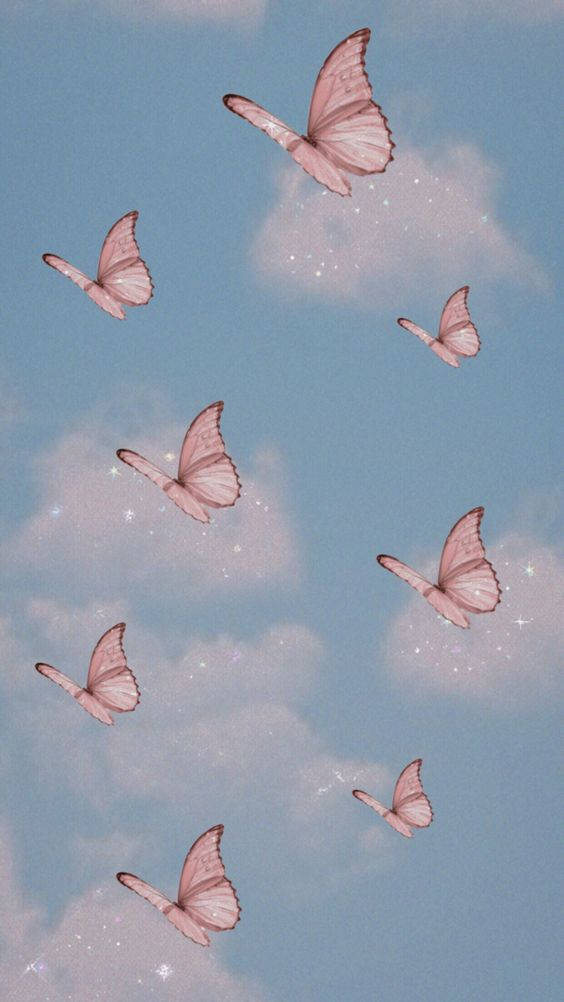 Butterfly Pastel Aesthetic Background