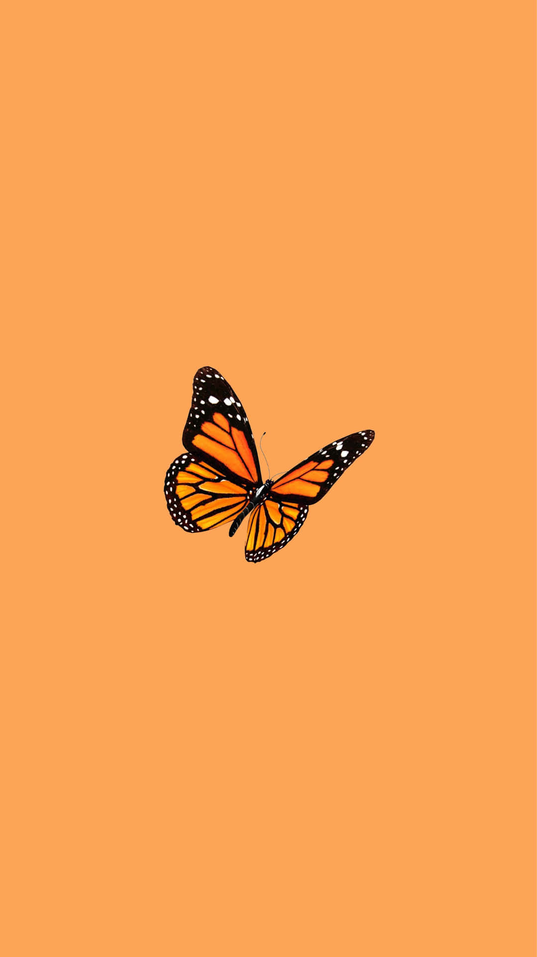 Butterfly Sticker Orange Aesthetic Phone Background