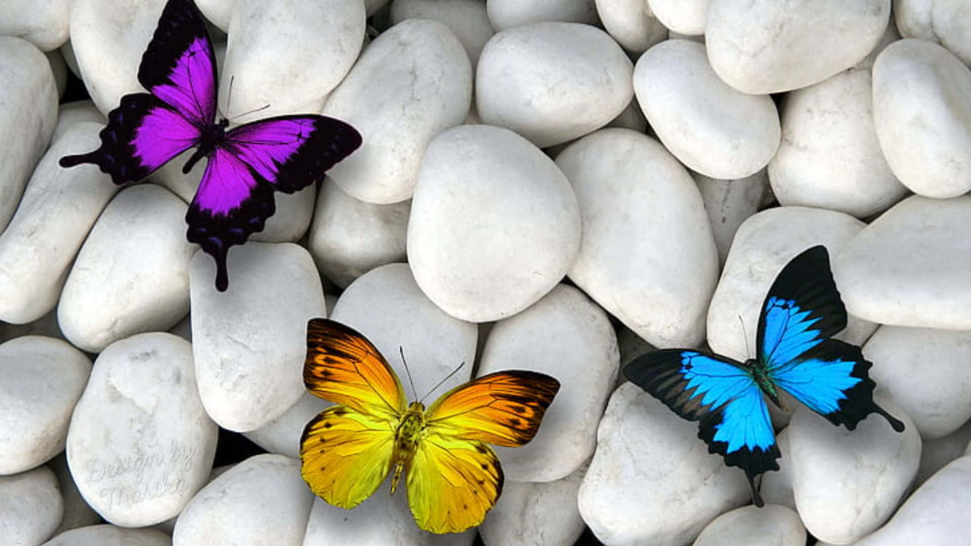 Butterfly Wings Fluttering Over A Modern Laptop Background